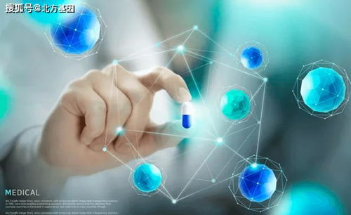 北方基因大健康 信息化時代大健康產業的變革與健康信息咨詢新生態